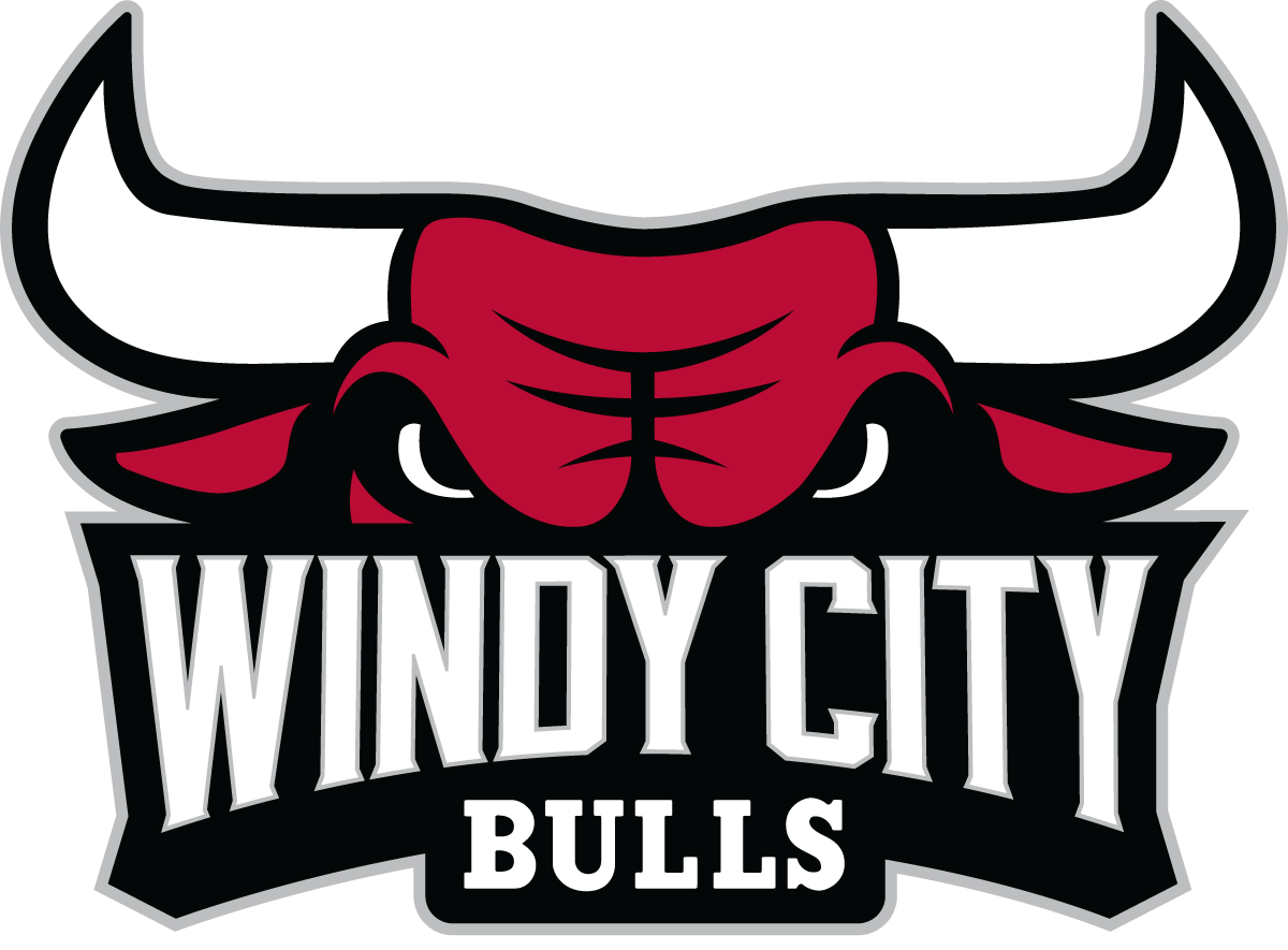 Windy City Bulls 2016-Pres Primary Logo iron on heat transfer